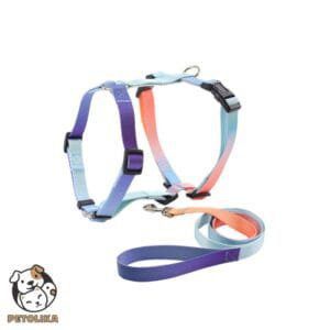 Adjustable Dog Harness and Leash Set Size S Gradient Beige