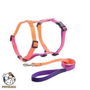 Adjustable Dog Harness and Leash Set Size S Gradient Orange Red