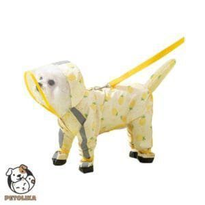 pineapple dog raincoat yellow