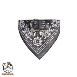 Black Bandana Dog Collar