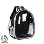 Cat bag transparent skylight travel bag portable travel P718P