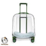 Dog Cat capsule transparent portable bag