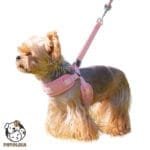 Reflective Adjustable Dog Vest Harness with Leash