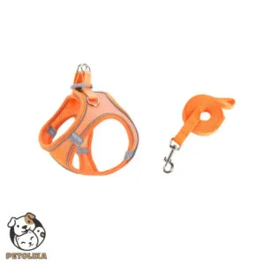 Reflective Waist Dog Harness Orange