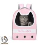 Scratch resistant pet bag for going out pet backpack P505