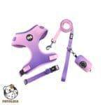 Adjustable Dog Collar and Leash Set Size M Mixed Pink and Purple