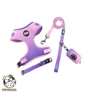 Adjustable Dog Collar and Leash Set Size M Mixed Pink and Purple