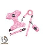 Adjustable Dog Collar and Leash Set Size M Pink Floral