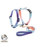 Adjustable Dog Harness and Leash Set Size XS Gradient Beige