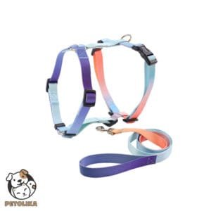 Adjustable Dog Harness and Leash Set Size XS Gradient Beige