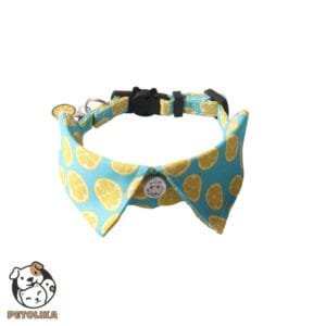 Fancy Collar Lemon Pattern for Dogs and Cats