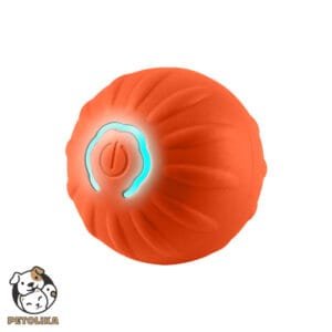 Smart Pet Toy Ball Orange 2