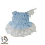 Blue Lace Dog Clothes