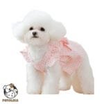 Dog Clothes Pink Bowtie Design