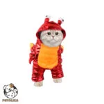 Cat Costume Crab Design