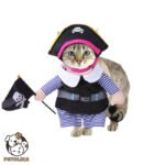 Cat Costume Pirate Design