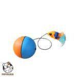 Cat Smart Ball Mouse Toy Blue Orange