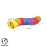 Rainbow Cat Tunnel S Shape