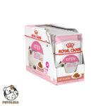 Royal Canin Jelly Kitten Wet Food with Meat