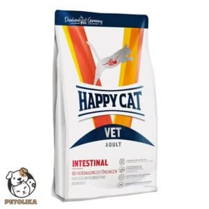 VET Diet Intestinal dry