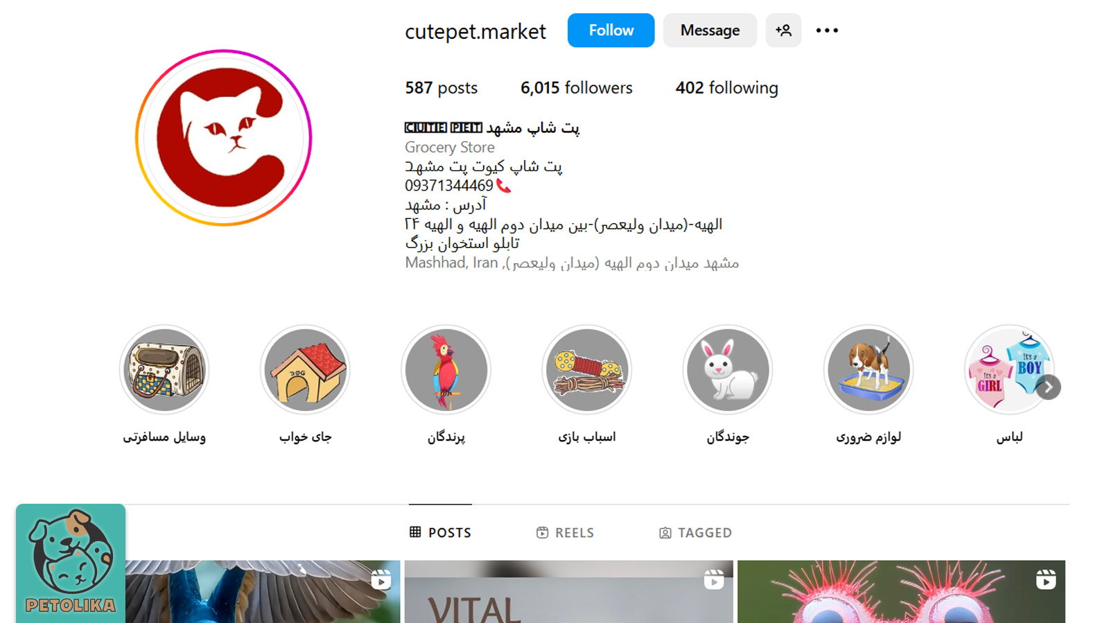 صفحه اینستاگرام پت‌شاپ کیوت پت