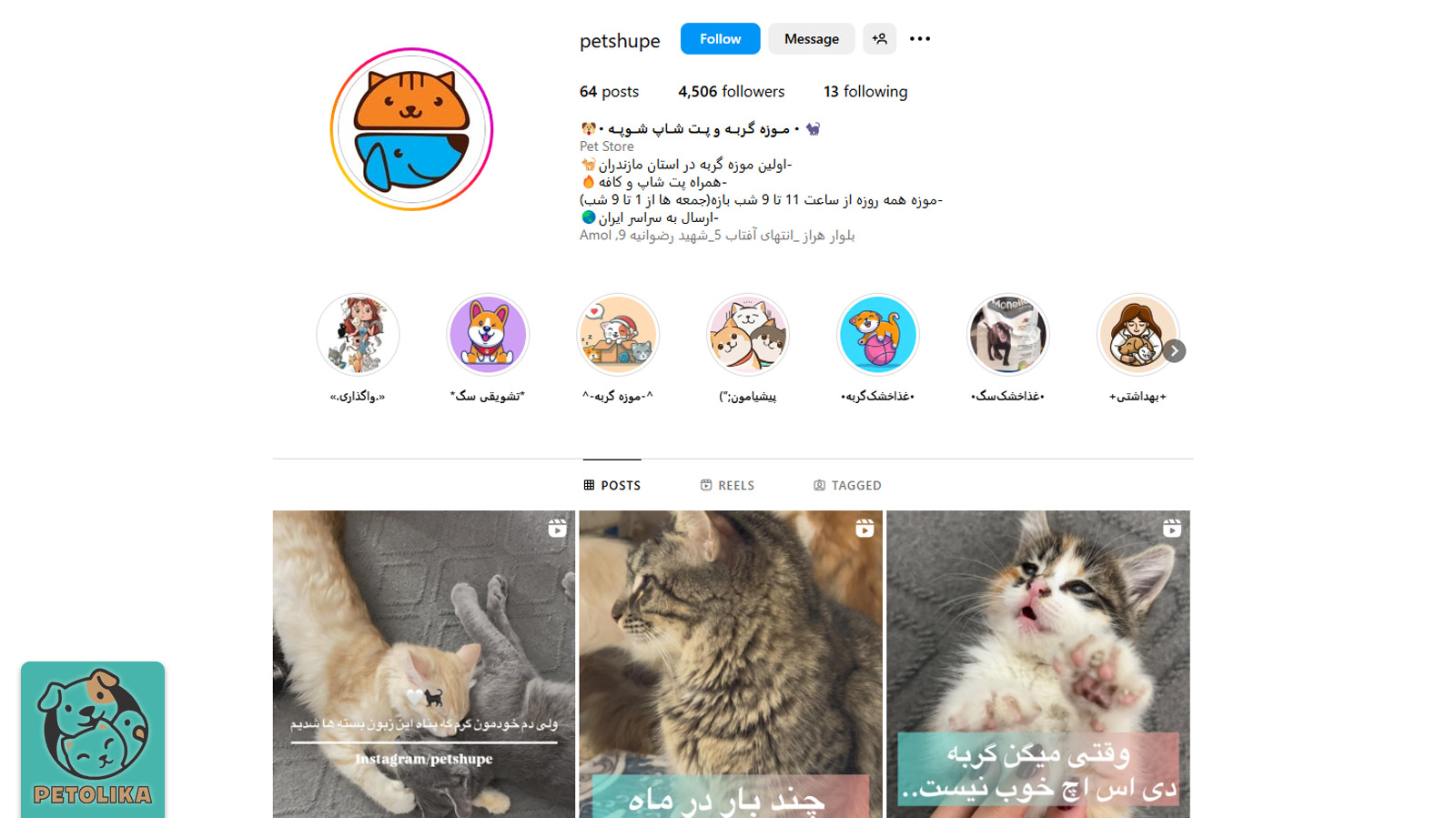 صفحه اینستاگرام پت شاپ شوپه بهترین پت شاپ آمل