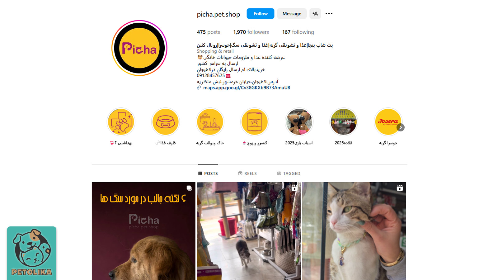 صفحه اینستاگرام پت شاپ پیچا