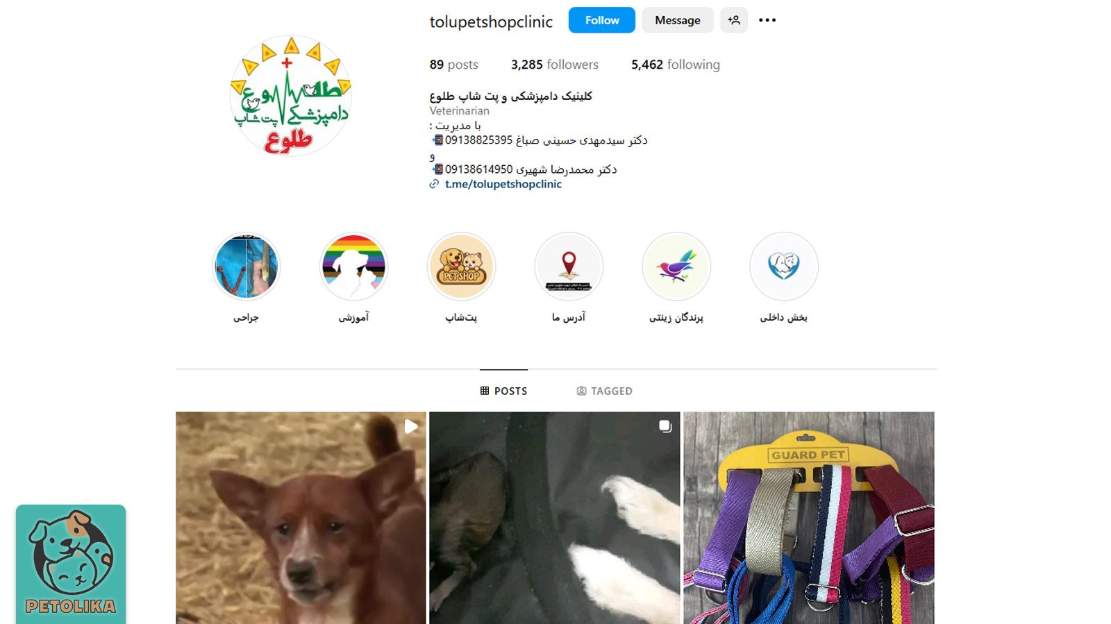 صفحه اینستاگرام پت شاپ طلوع