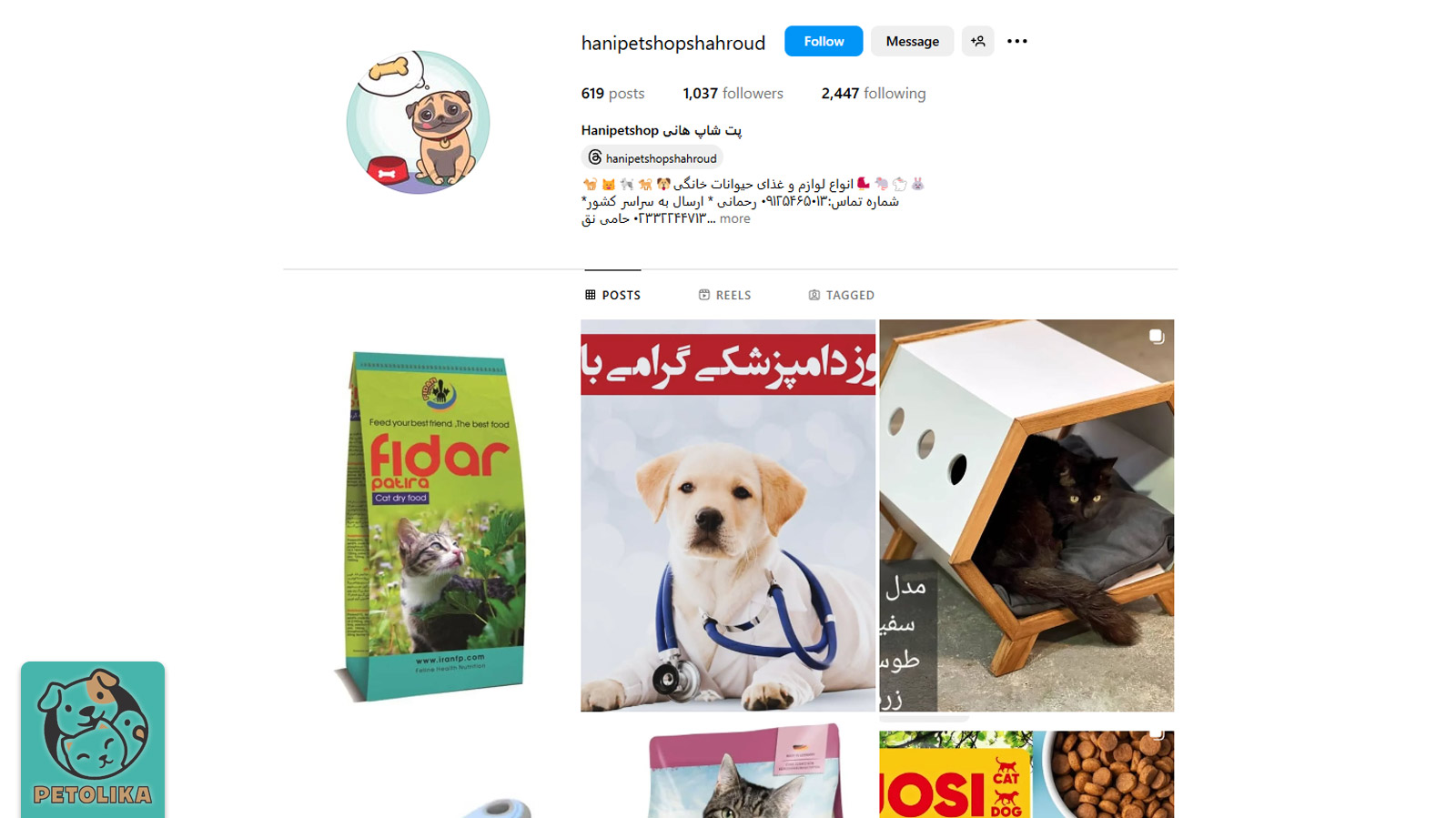 صفحه اینستاگرام پت شاپ هانی یک پت شاپ در شاهرود