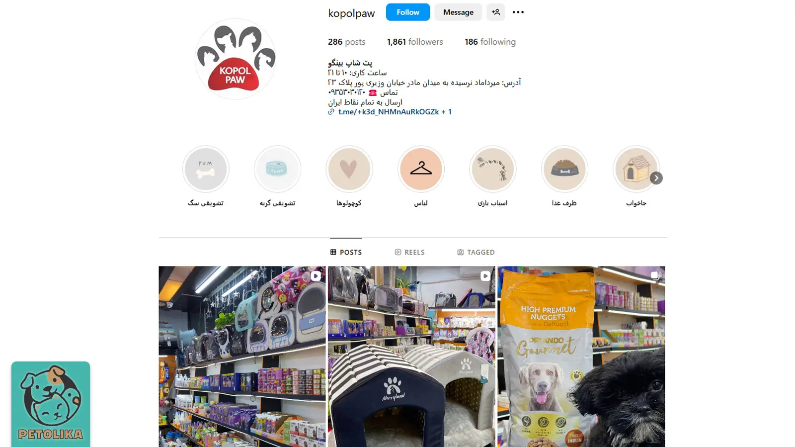 بهترین پت شاپ تهران (شمال،شرق،غرب،مرکز) 1404 +آدرس و تماس 16 صفحه اینستاگرام پت شاپ بینگو