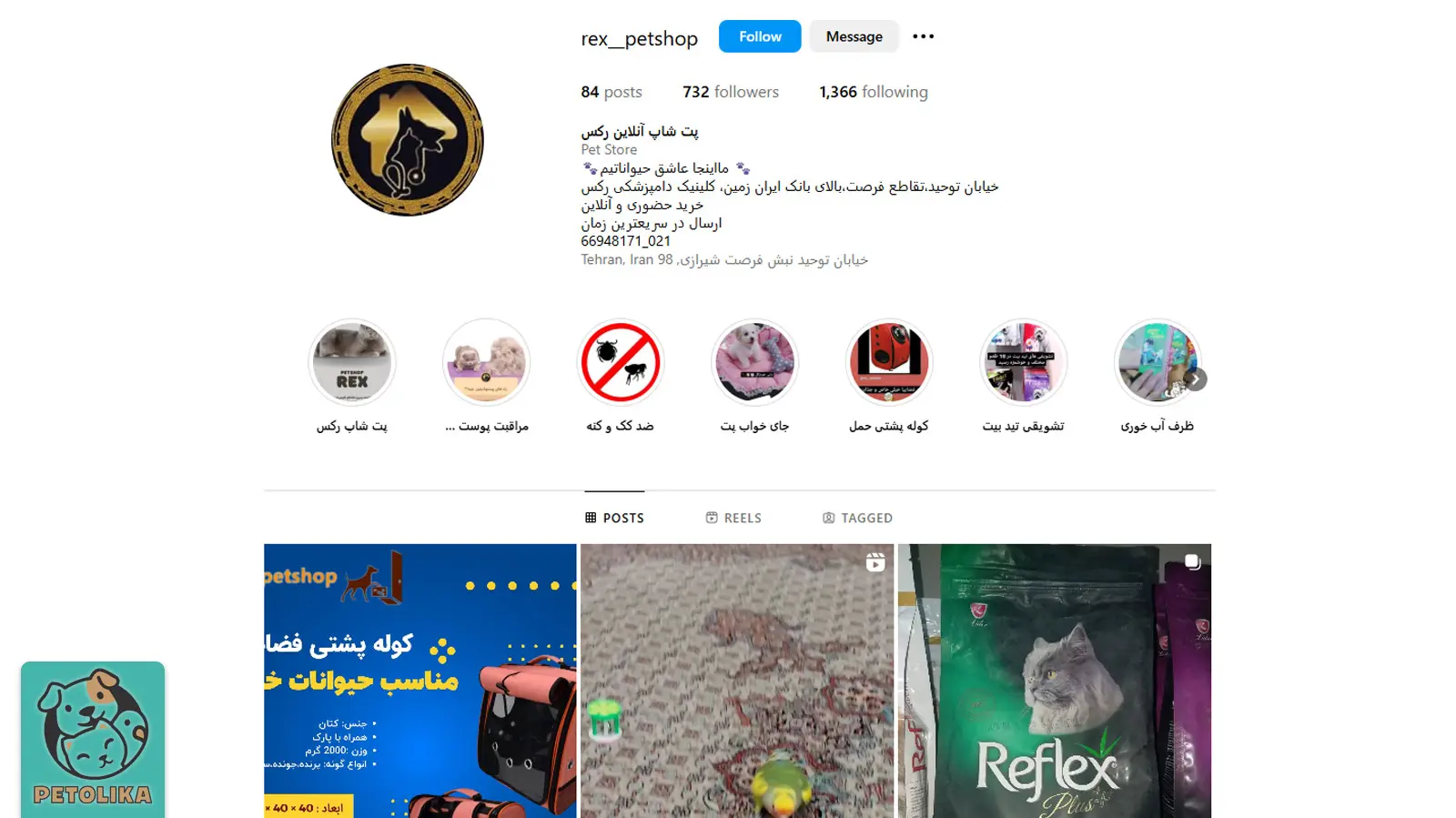 بهترین پت شاپ تهران (شمال،شرق،غرب،مرکز) 1404 +آدرس و تماس 41 صفحه اینستاگرام پتشاپ رکس