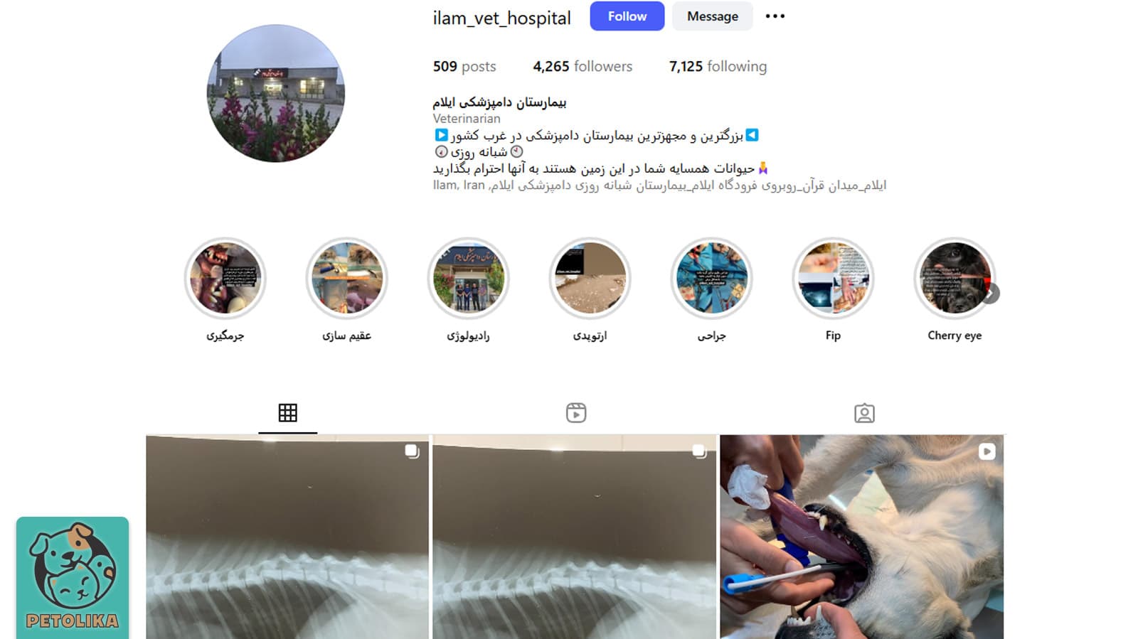 تصویری از صفحه اینستاگرام مرکز دامپزشکی ایلام