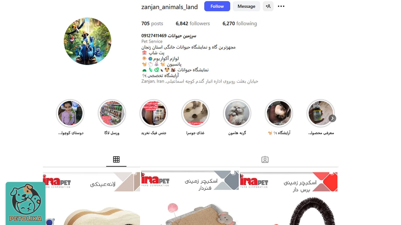 تصویری از صفحه اینستاگرام پت‌شاپ سرزمین حیوانات