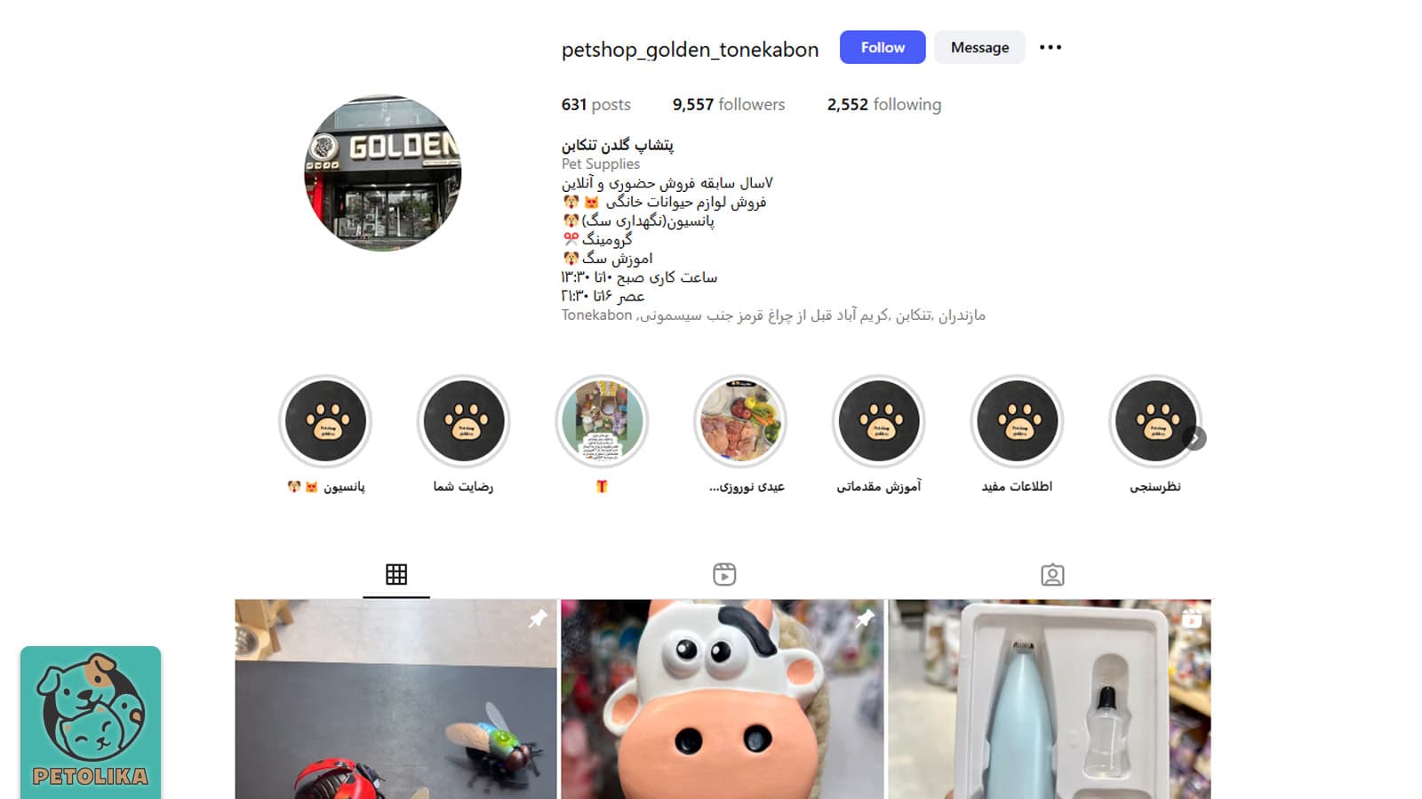صفحه اینستاگرام پت‌شاپ گلدن