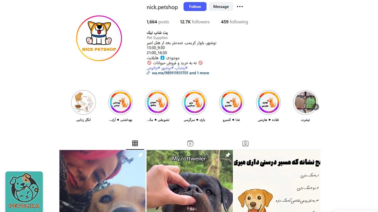 بهترین پت شاپ چالوس در سال 1404 + آدرس، تلفن، اینستاگرام 19 تصویری از صحفه اینستاگرام پت شاپ نیک