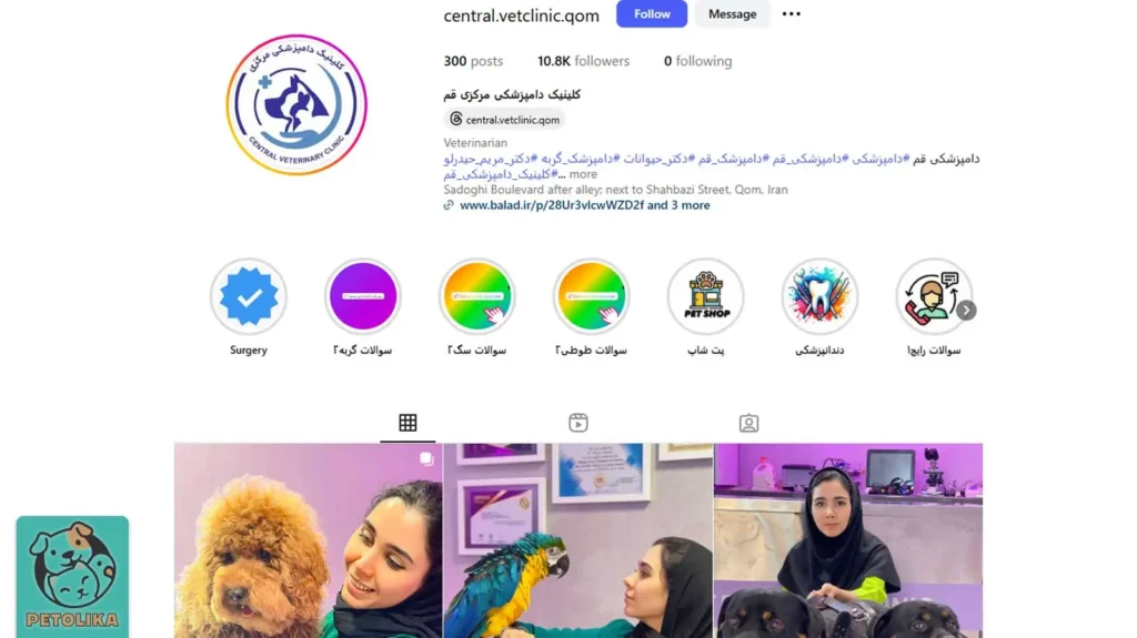 تصویری از صفحه اینستاگرام پت شاپ مرکزی