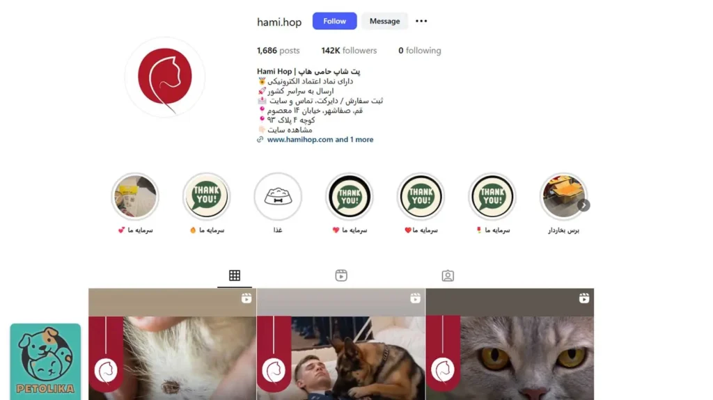 تصویری از صفحه اینستاگرام پت شاپ حامی پت یکی از پت شاپ های قم
