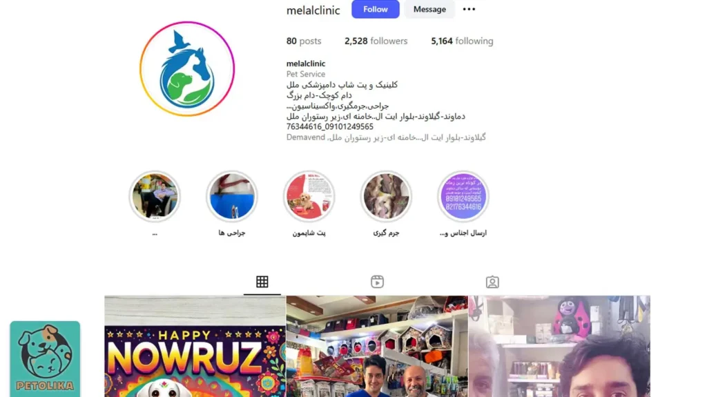 تصویری از صفحه اینستاگرام پت شاپ ملل