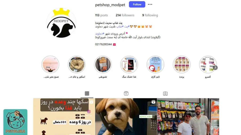 تصویری از صفحه اینستاگرام پت شاپ مد پت پت شاپی در دماوند