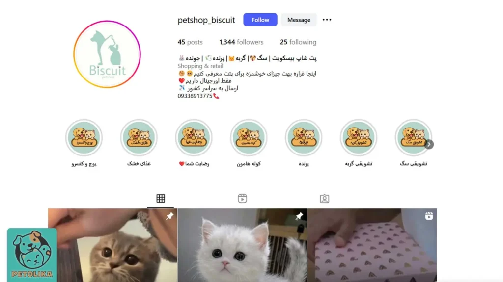بهترین پت شاپ گرمدره در سال 1404 + آدرس، تلفن، اینستاگرام 9 تصویری از صفحه اینستاگرام پت شاپ بیسکوئیت