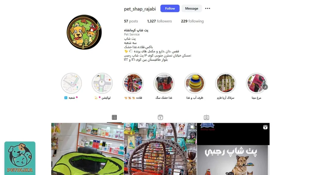 تصویری از صفحه اینستاگرام پت شاپ رجبی