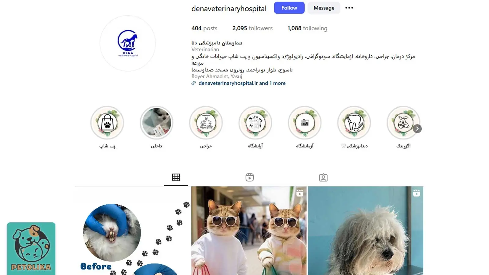 تصویری از صفحه اینستاگرام پت‌شاپ دنا