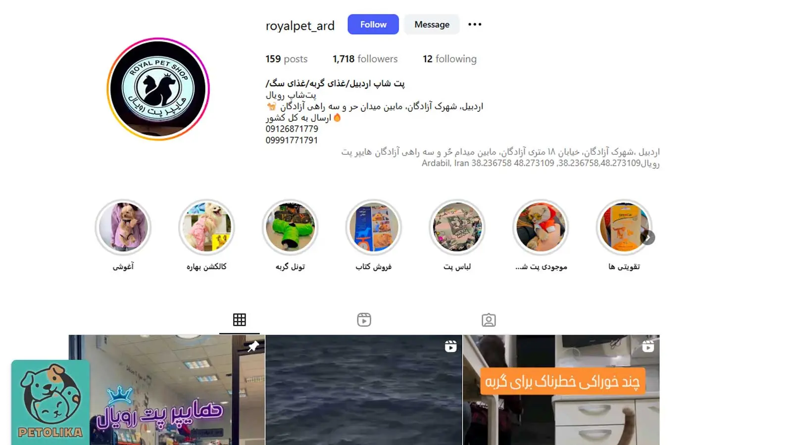 تصویری از صفحه اینستاگرام پت شاپ رویال پت یک پت شاپ در اردبیل