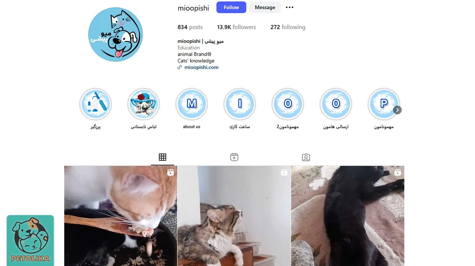 تصویری از صفحه اینستاگرام پت شاپ میوپیشی