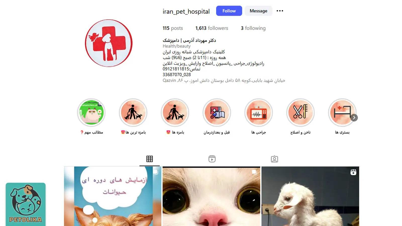 تصویری از اینستاگرام پت شاپ و دامپزشکی ایران