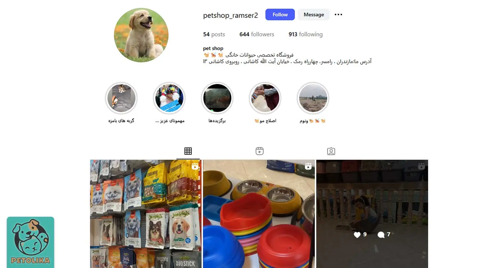 تصویری از صفحه اینستاگرام پت‌شاپ رامسر 