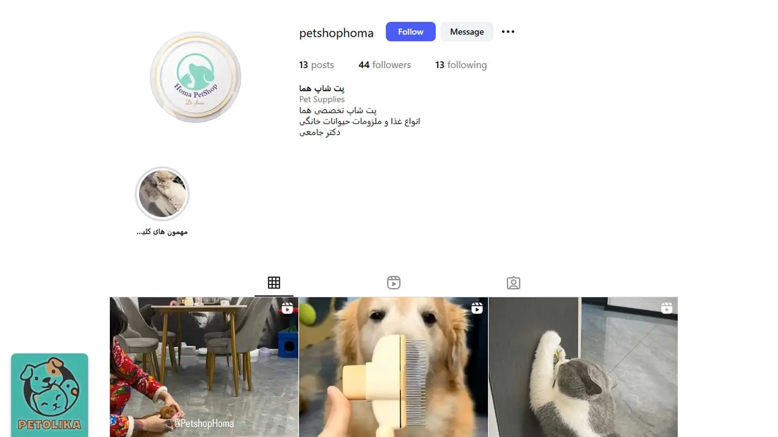 تصویری از صفحه اینستاگرام پت شاپ هما