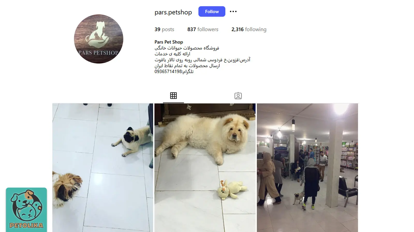 تصویری از اینستاگرام پت شاپ پارس