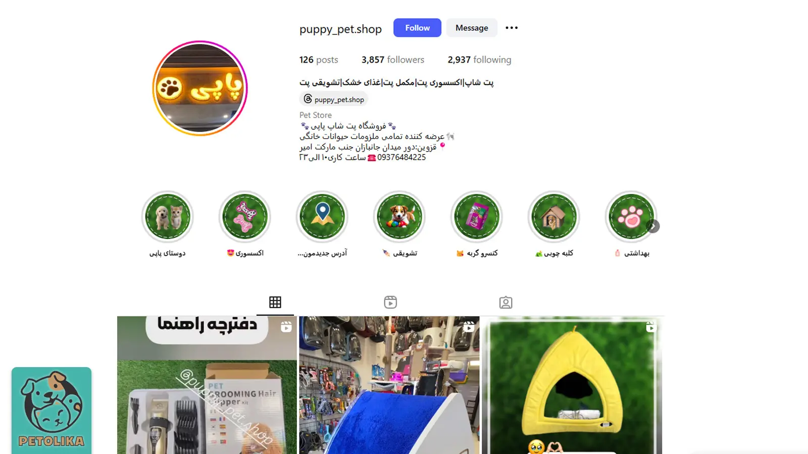 تصویری از اینستاگرام پت شاپ پاپی