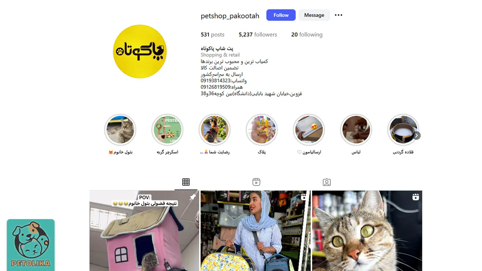 تصویری از اینستاگرام پت شاپ پاکوتاه